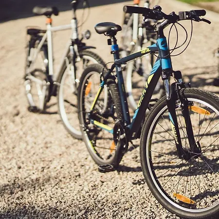 Kraina Dauby * Wielowies (Ilawa)